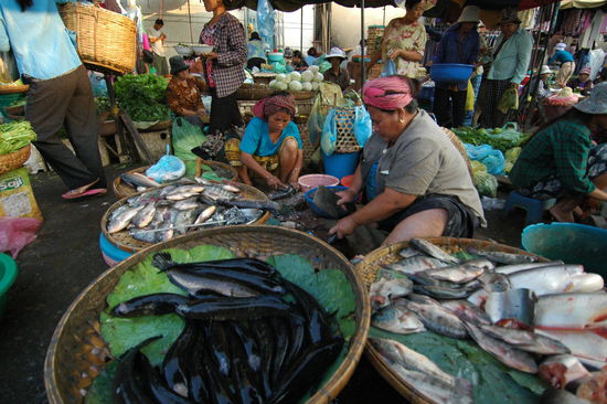 Marktgeschehen in Phnom Penh