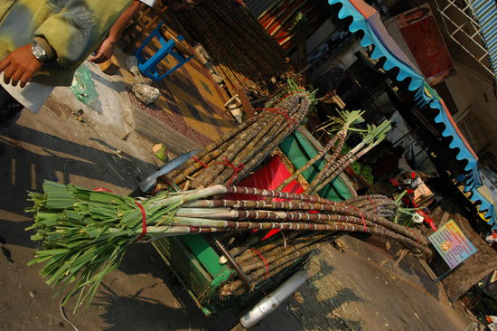 ... und transportiert Gueter aller Art (Zuckerrohr)