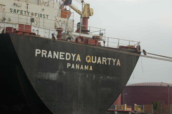 Auf dem Mekong in Vietnam zwischen kambodschanisch/vietnamesischer Grenze und Chau Doc