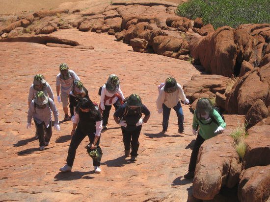 Japaner uebertreiben es.