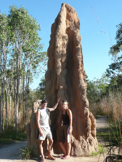 Ameisenhaufen versteinert
