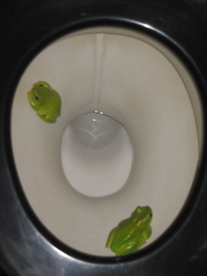 Wase tun diese da???