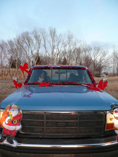 Saemi's Auto,welches nie ohne Saemi wegfahren kann.
Links Saemi und rechts Fiola