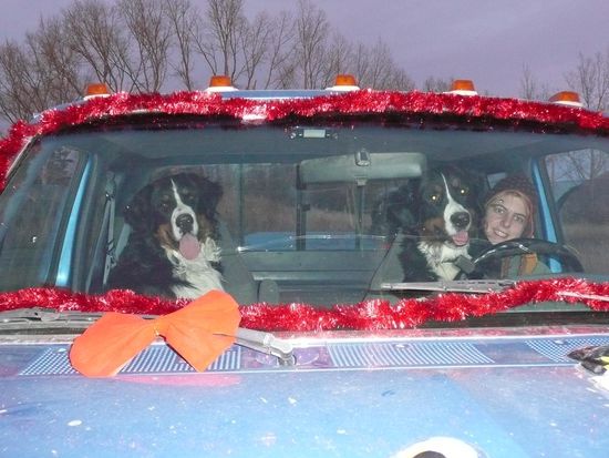 Fuer die Weihnachtskarten 