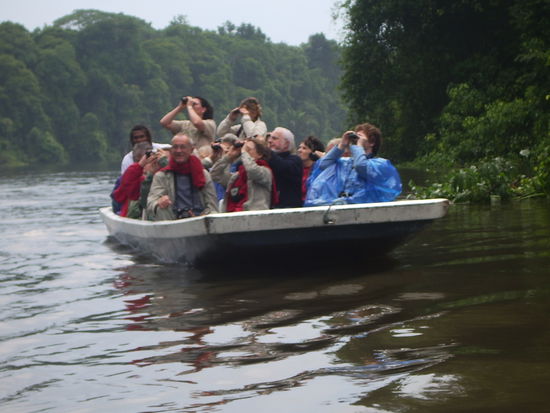 Diese  besondere Spezies Affe kriegt man in diesen feucht tropischen gebieten Aeuserst selten zu sehen.
Diese Art Primate ist sehr scheu und laueft dem Oberaffen einfach immer hinter her...sehr interessant!
