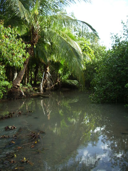 Der Fluss der aus dem Nationalpark ins Meer muendet