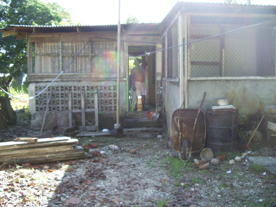 Unser Buschdoktor und sein Haus