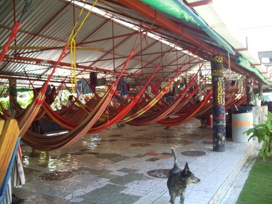 Schlafhaengematten in Rocking J^S (4 dollar/nacht)