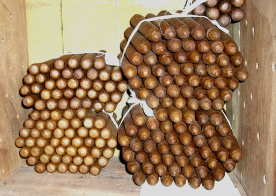 gedreht aus Tabak von 1998