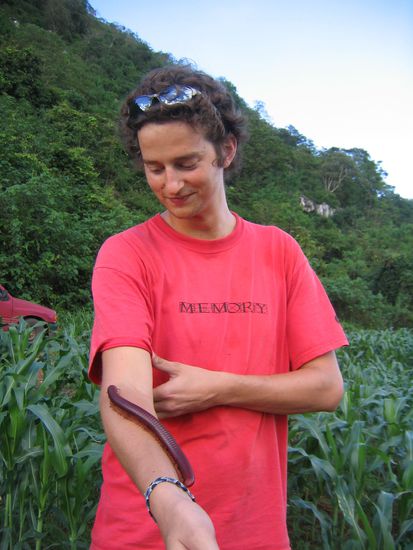 riesentausenfuesser und ein mutiger junge