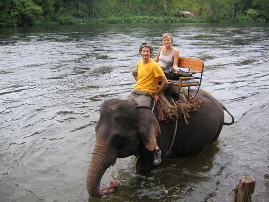 ride an elephant, die touristenattraktion, und wir gleich live dabei 