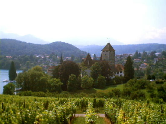 Spiez