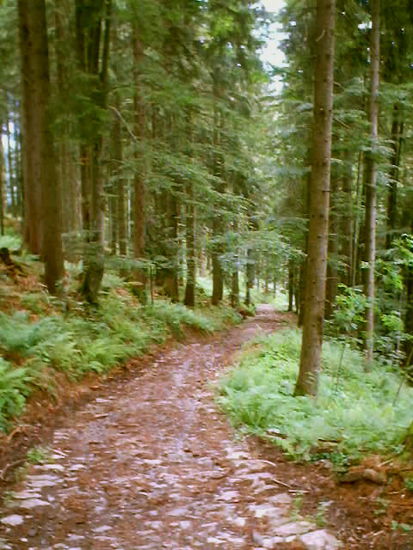 Aufstieg auf die Hageneck