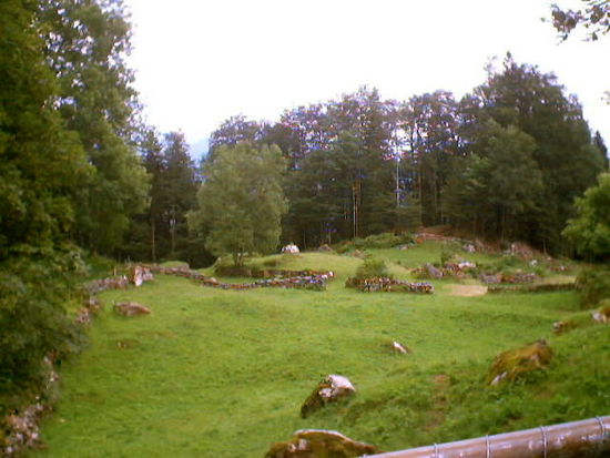 Steinwald beim Abstieg nach Brienzwil