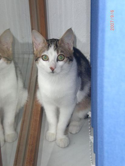 Dank meines fleißigen Helfers... 