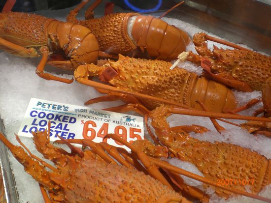 Leckere Lobster gabs auf dem Fishmarket...