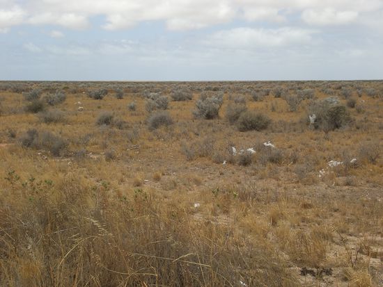 Und so hat die Landschaft 100 von Kilometern ausgeschaut!