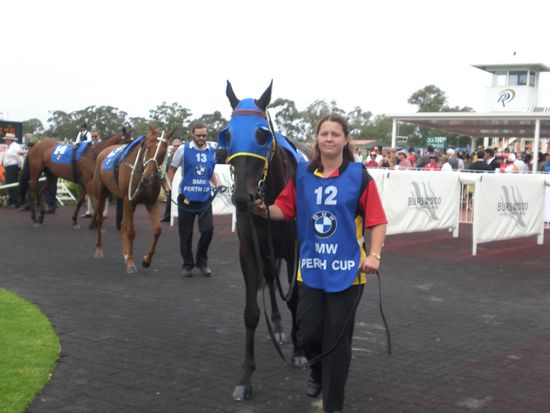 Das war eins meiner Looser-Pferde... Naja, suess war er trotzdem. Und einen netten Namen hatte er auch: The Black Pig...