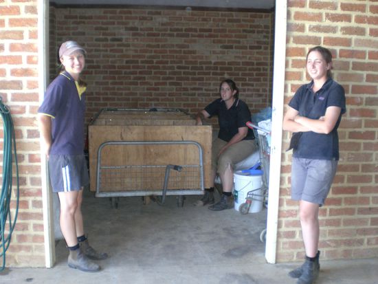 Hier ein paar Maedels von meiner Arbeit. In dem kleinen Raum bereiten wir immer das Futter zu...