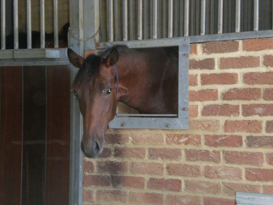 ... und manche koennen es gar nicht mehr erwarten, bis es endlich was zum Fressen gibt...