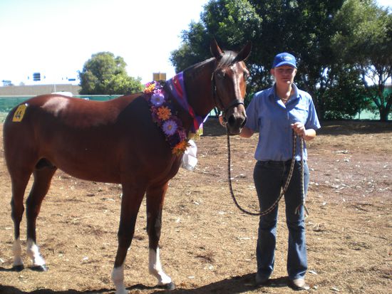 Einer unserer Schuetzlinge war sogar so schoen, dass er den 1. Preis und ein Schleiferl gewonnen hat... Da hat sich ja das ganze Waschen, Striegeln, Hufe lackieren, etc. gelohnt...