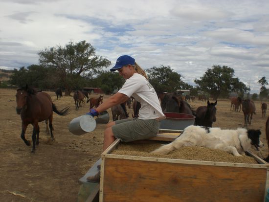 Mit meiner Kollegin Melissa beim Pferde fuettern auf den Weiden...