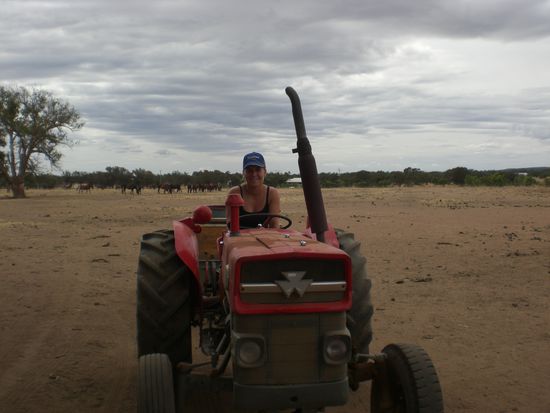 ...und ich auf unserem roten Traktor!