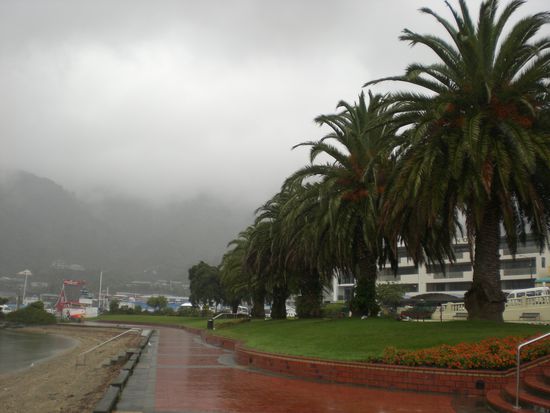 In Picton hatten wir leider Scheiss-Wetter und es hat wirklich den ganzen Tag geregnet!