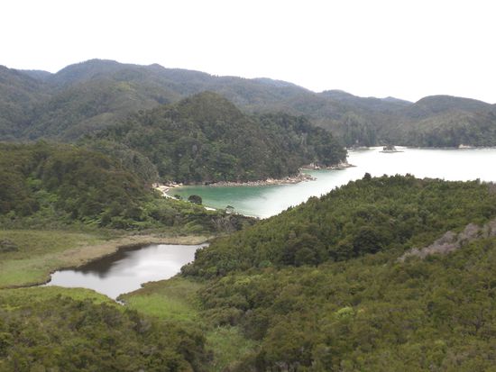 Wandern im abel Tasman National Park...