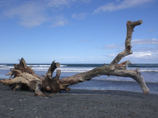Hab ich am Strand gefunden (und in meinem Rucksack gepackt...)