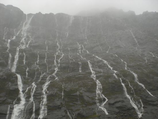 Am Milford Sound waren 1000 von kleinen Wasserfaellen, die die Berge runtergestroemt sind...