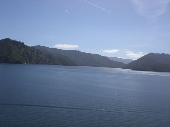 Tolles Wetter hatten wir bei der Ueberfahrt von Picton nach Wellington...