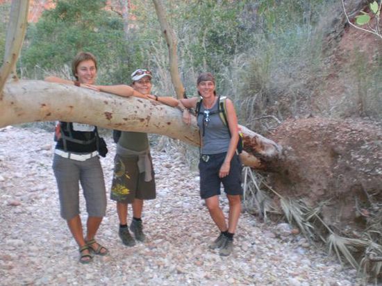 Wir 3 beim Wandern...