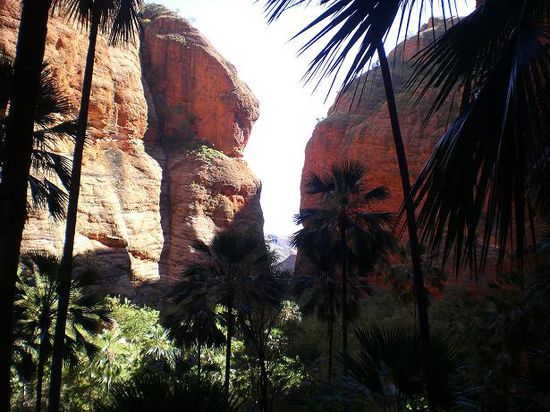 Tropisch wurde es im Bungle Bungles National Park...