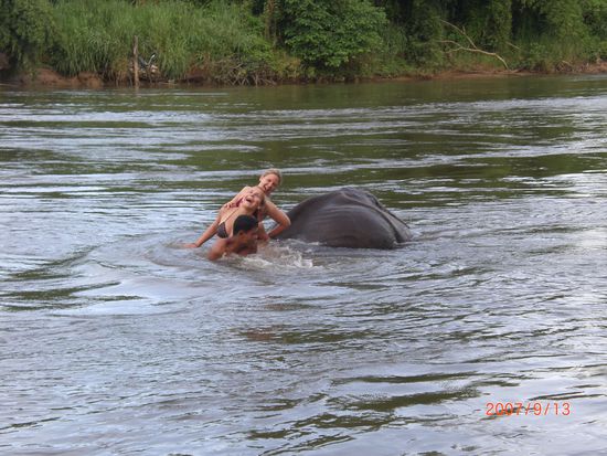 Eins unserer Highlights war mit Sicherheit das Elefantenbaden! Wir hatten allerdings einen ziemlich fiesen Guide und sind daher oefters im Wasser gelandet als auf dem Elefanten geblieben...