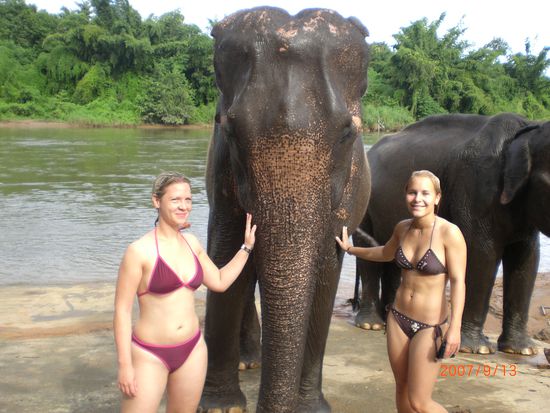 ... das Schmusen war danach umso schoener. Wirklich tolle Tiere!