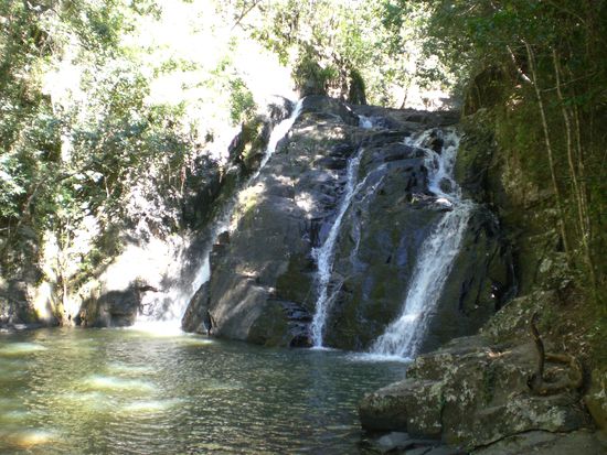 Einer von vielen, vielen Wasserfaellen in den Atherton Tablelands... (dieser ist nicht so spektakulaer, ich weiss, aber ich bin grad zu faul, meine Bilder zu drehen... 
