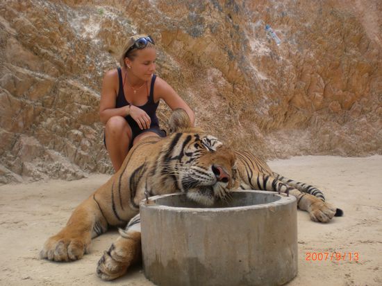 Danach gings in den Tiger-Temple!