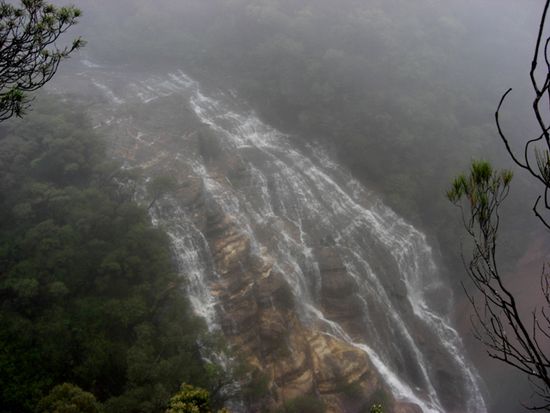 Leider nur im dichten Nebel zu besichtigen - die Wenworth Falls (zumindestens ein Teil davon)