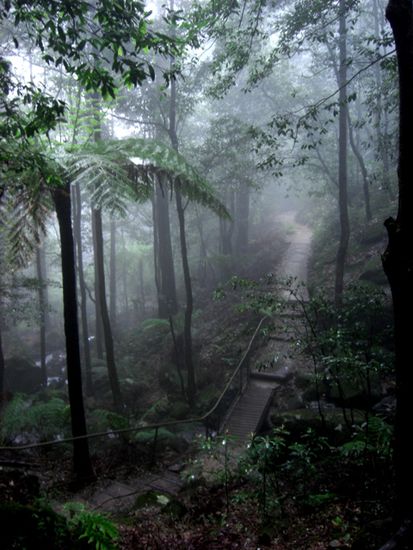 Jamison Valley