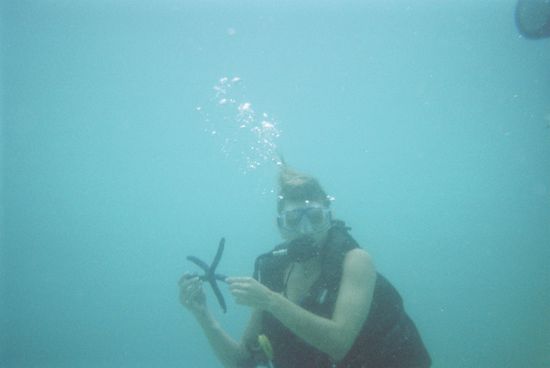 Sarah und ein Seestern in 8m Tiefe