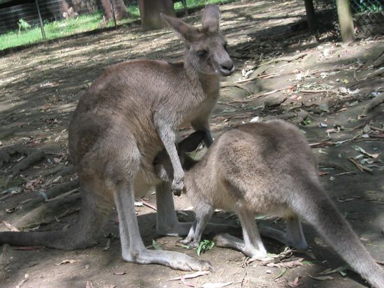 Is da noch wer drin?