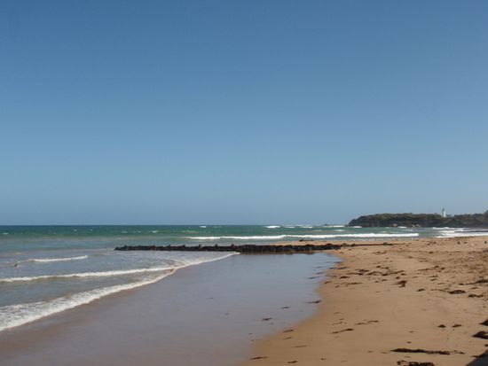 Queenscliff Beach