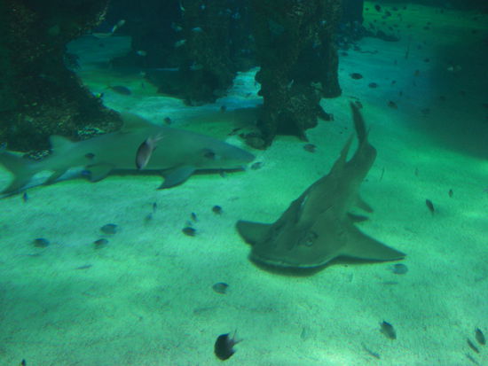 Hai und noch was Komisches 