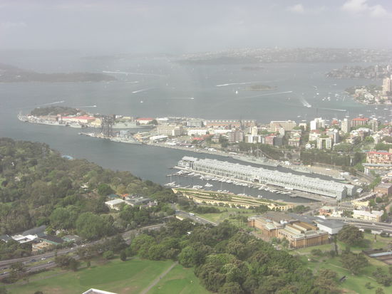 Wooloomooloo Bay vom Sydney Tower