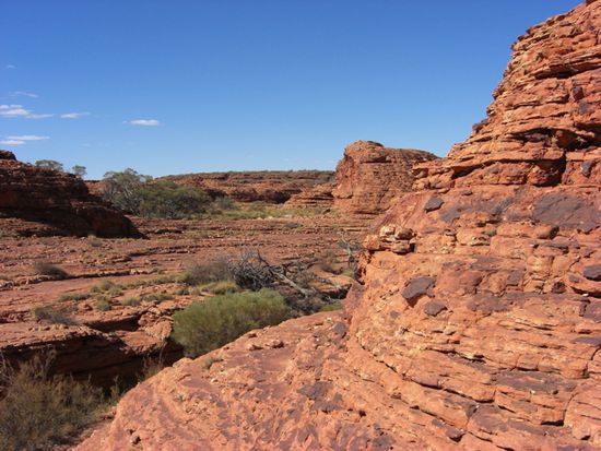Kings Canyon