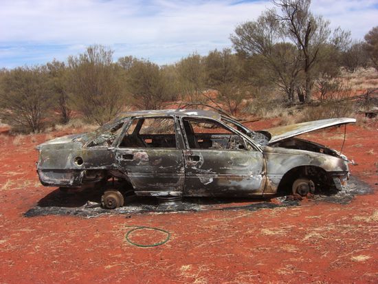 Kein seltenes Exemplar