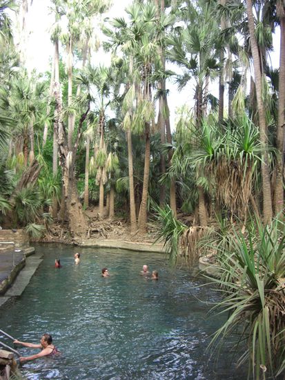 Mataranka Hot Springs