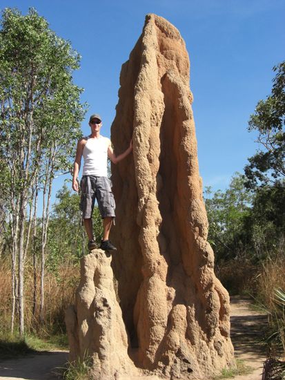 Nicht ganz soo groß wie der andere, aber auch ein Prachtstück