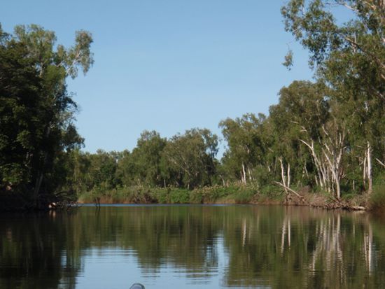 East Alligator River
